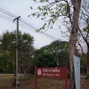 중앙역사공원(서쪽) 이미지