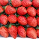 남매농장 이미지