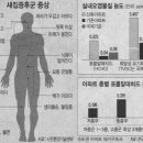베이크하임 이미지
