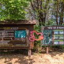 돌리네습지 초소 이미지