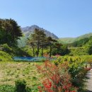 해밀계곡농장 이미지