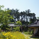 다원카페 - 북구 거진길 74 | 다원카페