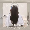 조아쥬스 | 화곡 미용실 추천 '조아헤오' 로하 실장님 내돈내산 후기 | 헤어 스케일링, 크리닉, 앞머리펌 ❤︎