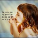 곡성-247 이미지