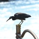 노을해안로 이미지