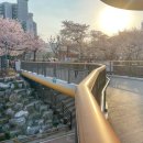 벌리교 공중화장실 이미지