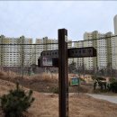 몰운대종합사회복지관 이미지