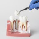 강서정석치과의원 이미지