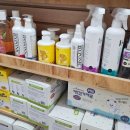 더 데일리 펫샵 이미지