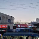 판다팜 이미지