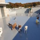 가모스타그램 이미지