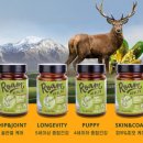 펫트러스트 이미지