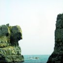 금목조경 이미지