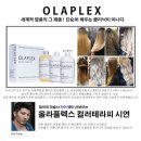 애플헤어 이미지