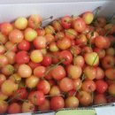 흥농농장 이미지