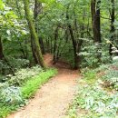 지양산 생태순환길 | 양천구 지양산은?