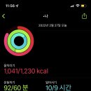 마제하루 - 영등포구 당산로10길 7 | 마제하루