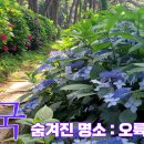 오륙도 가원 티스토리