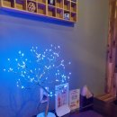 담방다찌 이미지