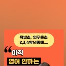 연푸른초 이미지