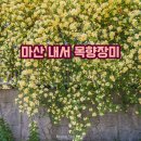 내서읍1137 이미지