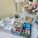 SNAPPY PETFOOD(스내피펫푸드) | [동인천 강아지 수제간식/내돈내산] 스내피펫푸드 오픈 방문기 🐾