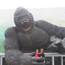 킹콩놀이샾 | 제주 / 제주여행(2014.6.6) - 캐릭월드