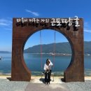 대일카센타 | 일상로그52