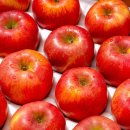 (주)더조은 이미지