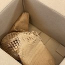 (유)랩스타 | 퓨어린 향좋은핸드크림 고보습핸드크림 솔직 후기, 촉촉함이 오래가는 이유