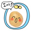 더호프 네이버블로그