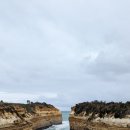 오션투어 이미지