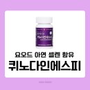 신진에스피