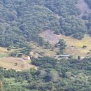 올라알파카 카페 이미지