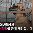 두잉에듀 이미지