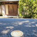 보린인터내셔널 | 오사카 교토 여행 2일차(2024.05.03)