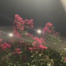 무영목장 | 9월 둘째 주 일상