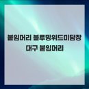위드미 수성매호점 | 붙임머리 블루밍위드미담장 대구 붙임머리