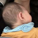 져스트 짐 | 11월 육아일기 :: 모빌보다 할미모발