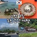 예구1길 | 여름 속초 고성 2박3일 여행