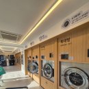 양지세탁소 | 용인 양지 24시 무인 세탁방 후기 이지워시 셀프빨래방