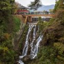 20240629제천 옥순봉출렁다리, 의림지 치유숲길, 청풍문화재단지(마감) 이미지