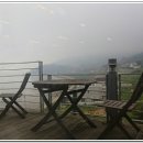 내리해물 이미지