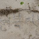 격포주유소 이미지