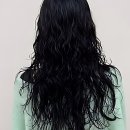 펫솔루션 구로점 | 드디어 정착할 곳 찾았다! 찐 인생머리 성지, 신도림테슬컷 개꿀팁 공개