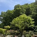 나나밸리 이미지