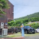 이리온애견펜션 이미지