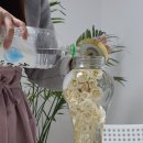 아름답고건강한삼