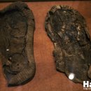 전쟁역사박물관 (구,평화박물관) 이미지