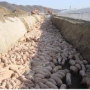 이재형농장 이미지